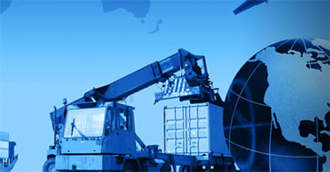 importing capacity and expertise